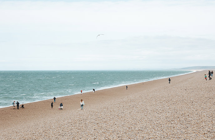 Chesil beach clean