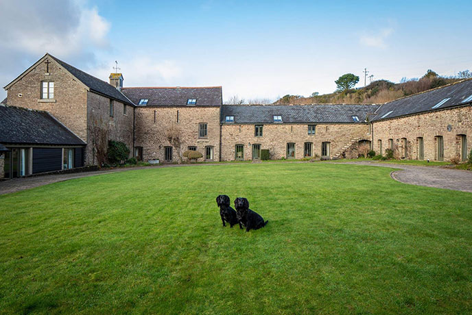 Two dogs sitting on the lawn at The Granary in South Devon