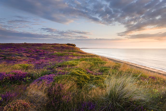 Dunwich Heath