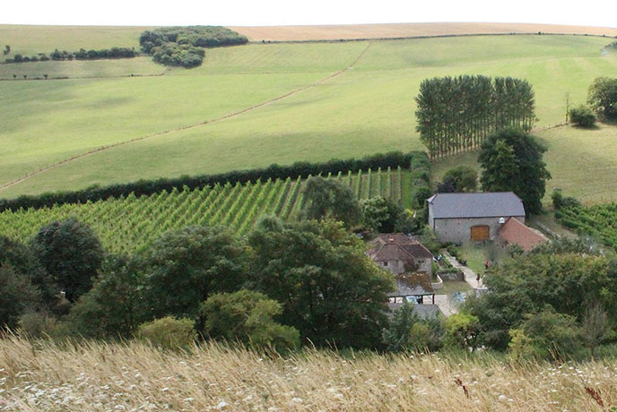The idyllic farm and vineyard at Breaky Bottom in Sussex