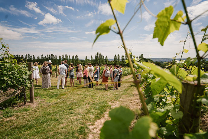 A group of people enjoying a tour of Nyetimber, one of the many amazing vineyards in Sussex