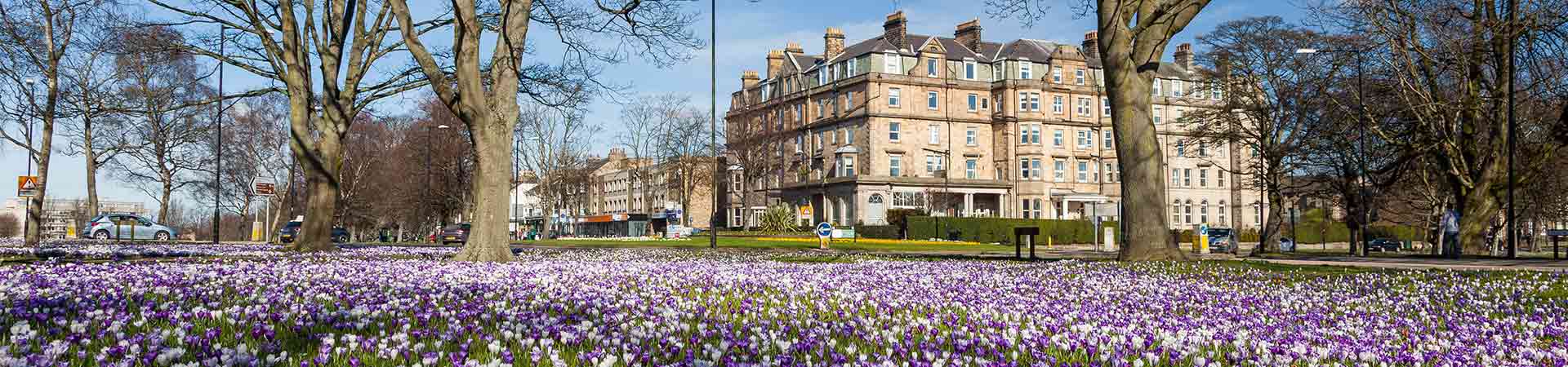 Cottages in Harrogate