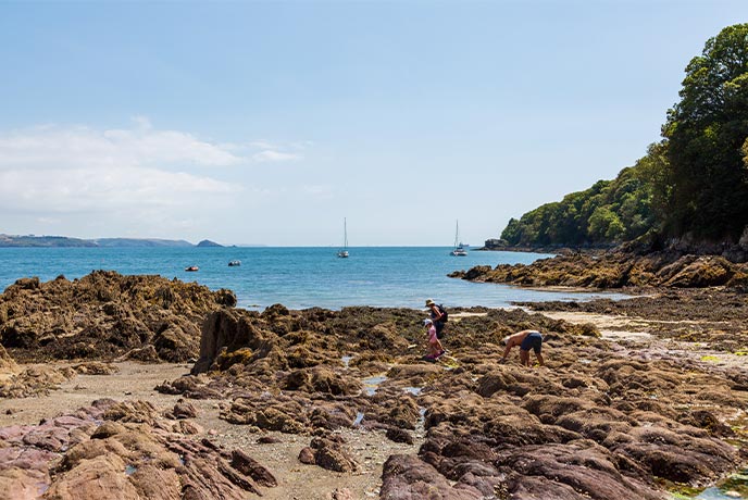 A family rock pooling at Cawsand Beach 