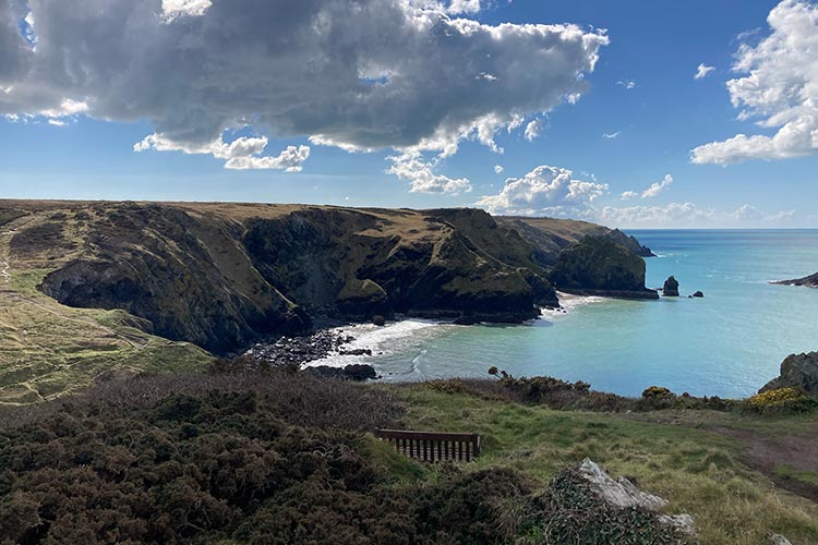 Guest review: Verity, Mullion Cove, in early spring