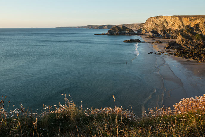 Looking down from the heather-topped cliff at Whipsiderry beach near Newquay