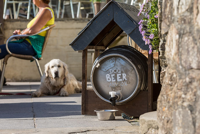 A golden retriever lies on the ground of a beer garden with a big keg labelled dog beer in front of them
