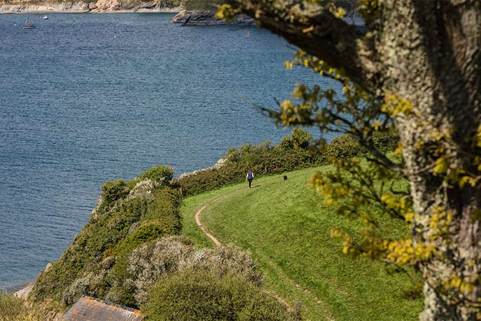 A person and their dog walking along the coast path along the Helford River between Grebe Beach and Porth Sawsen