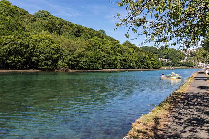 The peaceful waters of Looe River lined by trees and a walkway