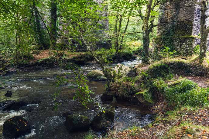 The pretty Luxulyan River flowing beneat the moss-covered viaduct