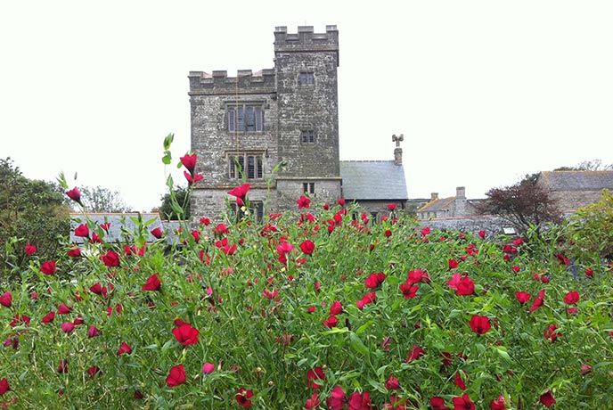 Looking over the poppies at the towering Pengersick Castle in Praa Sands, Cornwall