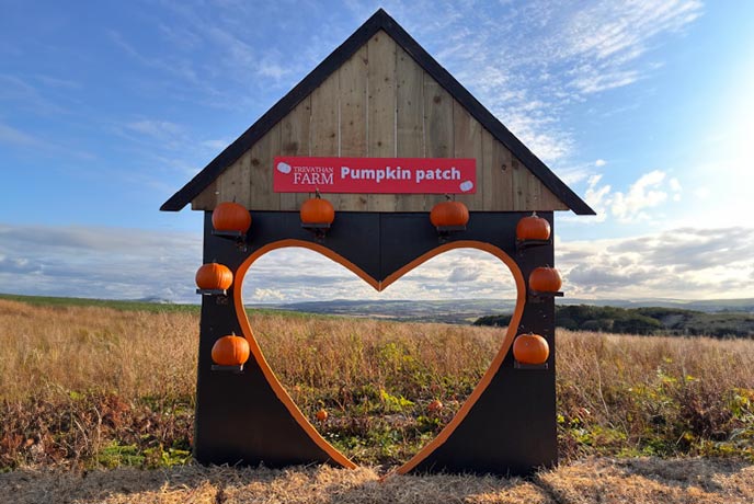 A wooden arch in the shape of a love heart surrounded by pumpkins at Trevathan Farm in Cornwall