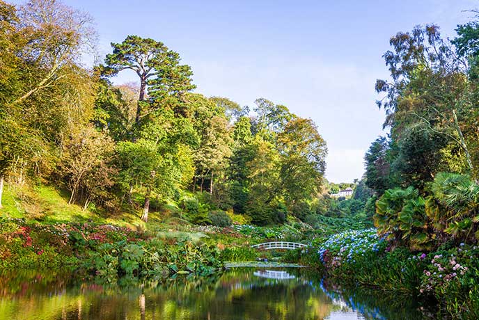 Gardens in Cornwall