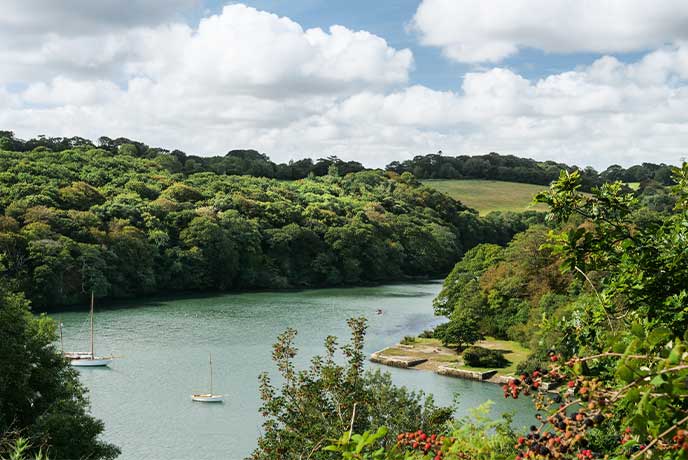The view of Roundwood Quay surrounded by trees from the beautiful National Trust gardens at Trelissick