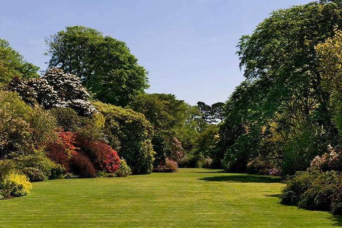 One of the perfectly manicured lawns surrounded by beautiful trees and borders at Trewithen Gardens