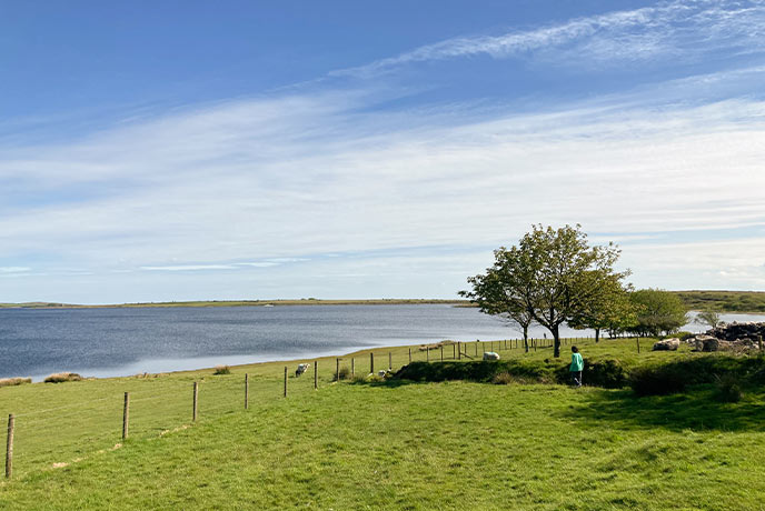 Looking out across green fields at Colliford Lake in Cornwall