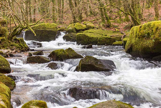 The cascading waters of Golitha Falls surrounded by moss-covered boulders