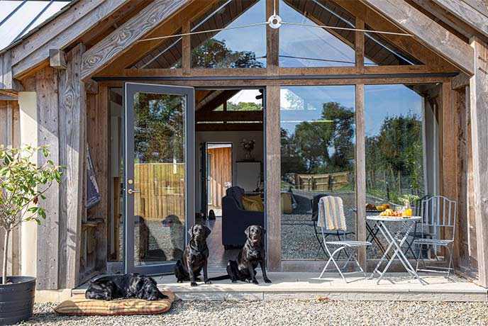 Three black dogs sitting outside the wooden barn at Buzzards Rise in Cornwall