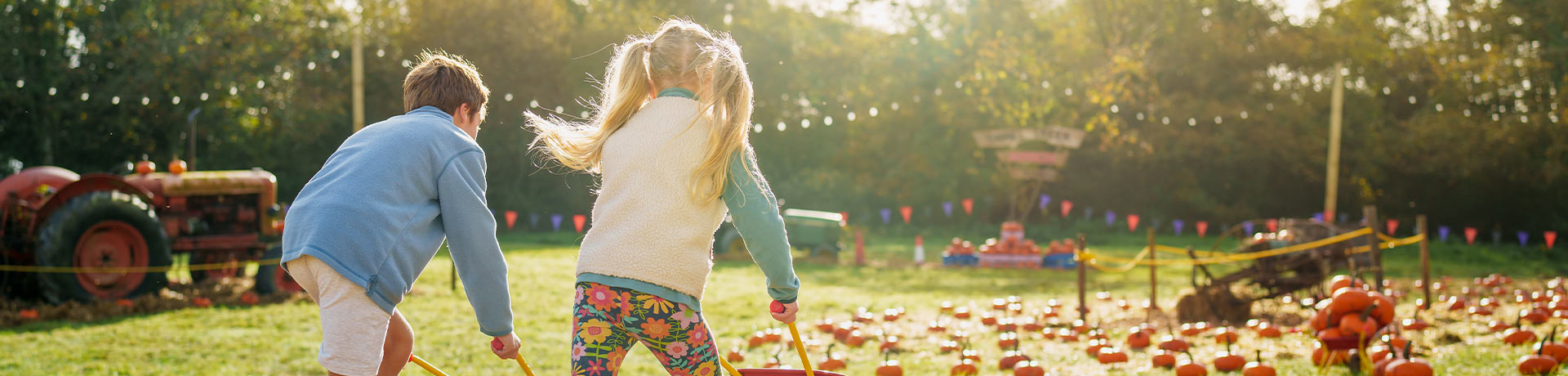 Guide to pumpkin picking in Cornwall