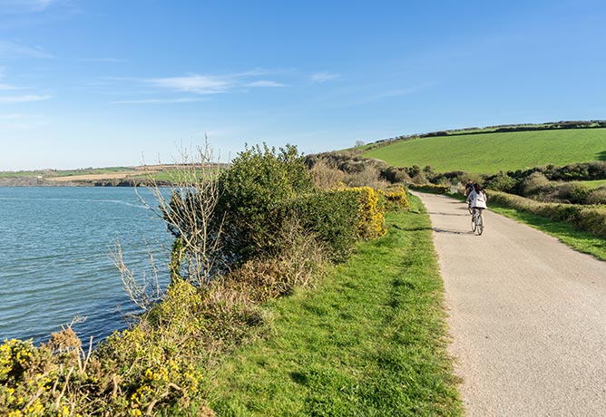 Someone cycling along the Camel Trail with the estuary on one side and fields on the other