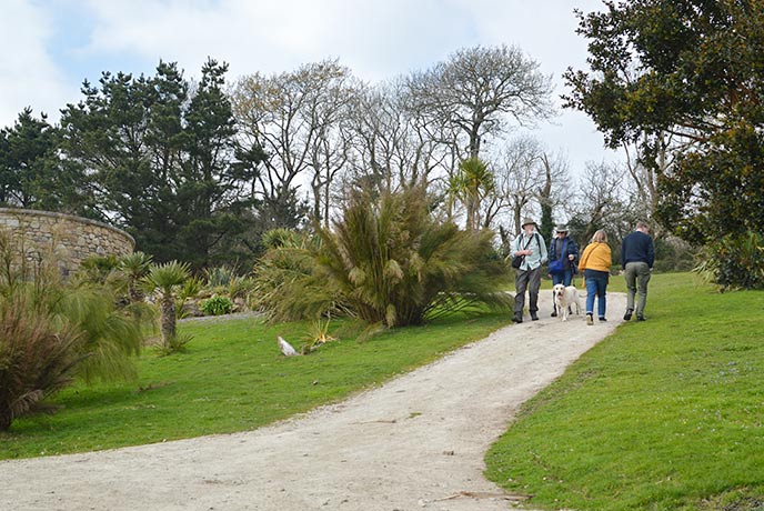 A group of people walking around the gardens of Tremenheere with their dog