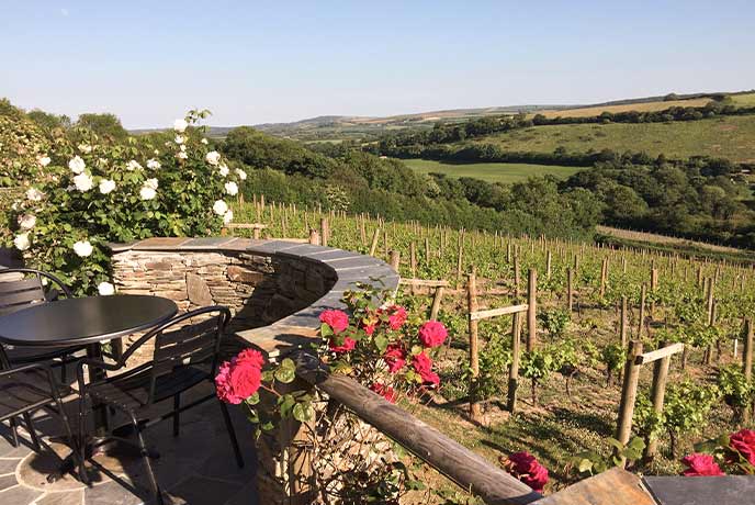 A table overlooking the vineyard at Camel Valley
