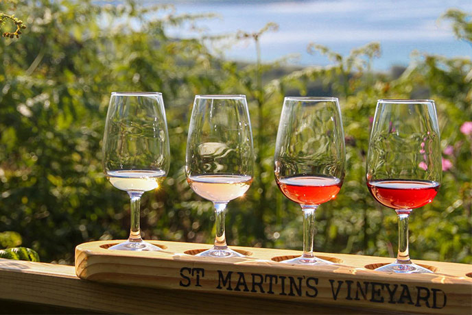 Four tasting glasses of wine at St Martin's Vineyard
