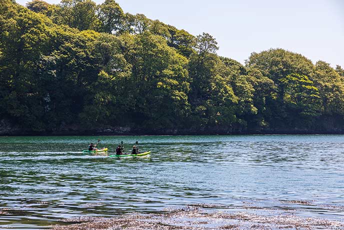 People kayaking along the river at Trelissick in Cornwall