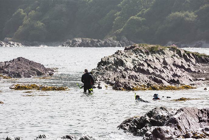A group of people snorkelling around some rocks in East Cornwall