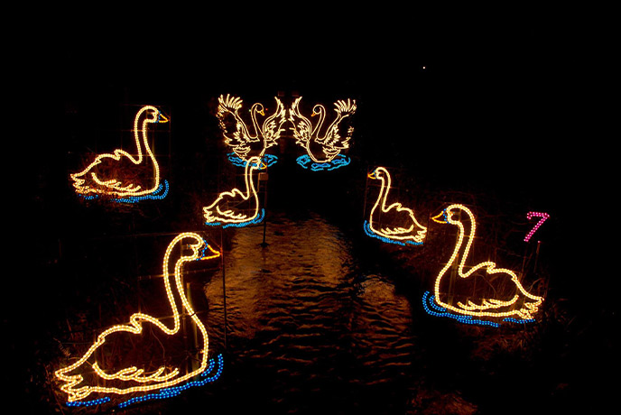 Seven swans Christmas lights at Angarrack