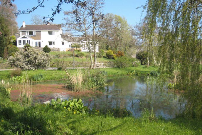 A pretty pond and cottage in Ruan Lanihorne on the Roseland Peninsula