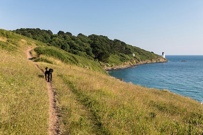A dog waiting on the path at St Anthony Head with St Anthony Lighthouse in the background, one of the many things to do in St Mawes