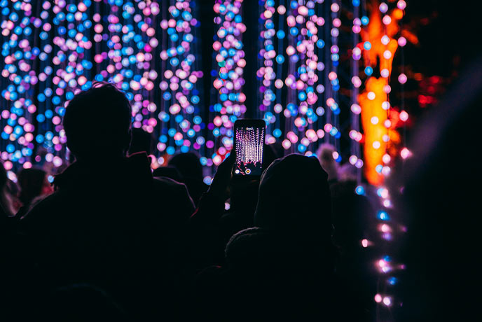 People stood in the dark and illuminated by beautiful Christmas lights at Blenheim Palace