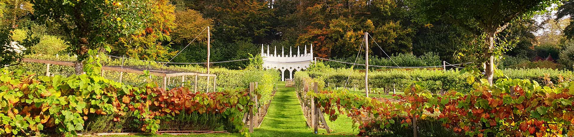 Gardens in the Cotswolds