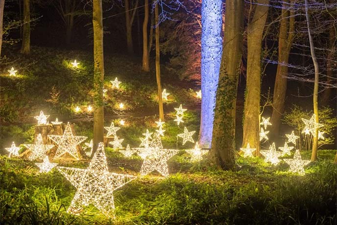 A display of wicker lanterns in the shape of stars in between the trees at Painswick Rococo Garden in the Cotswolds