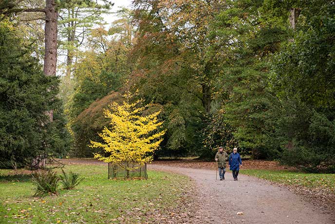 Top woodland walks in the Cotswolds