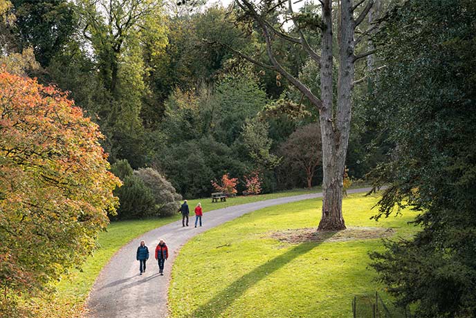 People walking down a path through towering trees at Westonbirt Arboretum in the Cotwolds