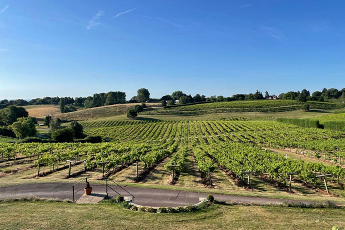 Looking over the rolling hills and vineyards of Three Choirs Vineyards in the Cotswolds