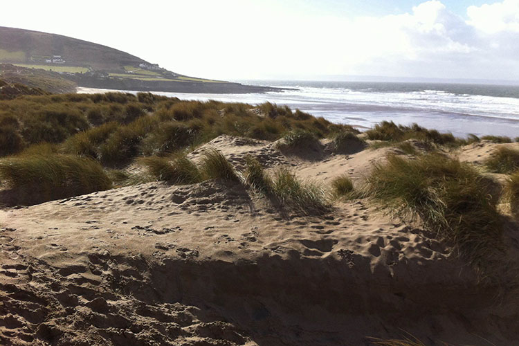 The beautiful sand dunes at Croyde Bay in Devon