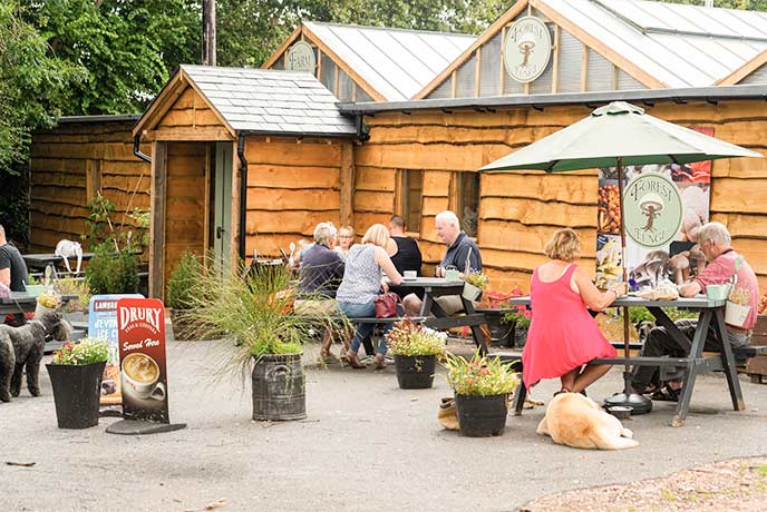 People enjoying the sunny outdoor seating at Forest Fungi in Devon