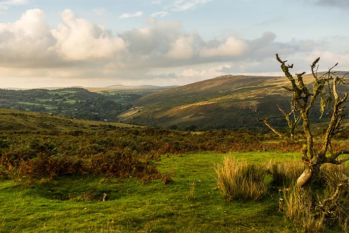 The sweeping hills of Darmoor in Devon, perfect for a winter walk