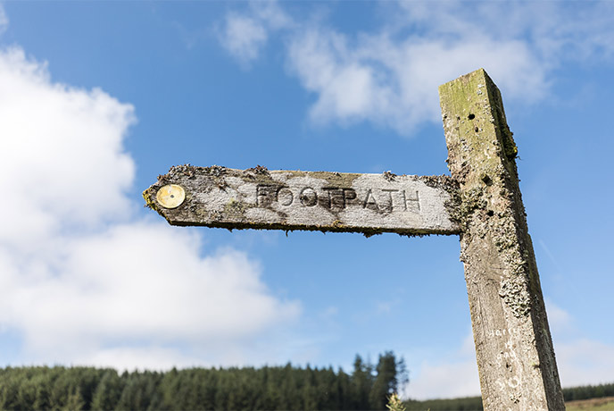 A wooden footpath sign with trees in the background in Dartmoor National Park