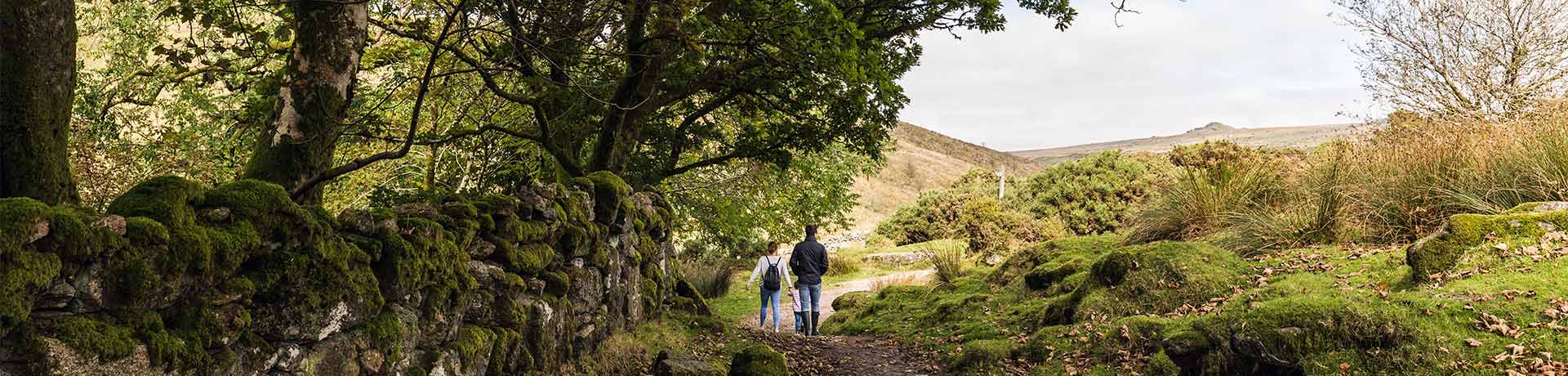 Complete guide to Dartmoor National Park