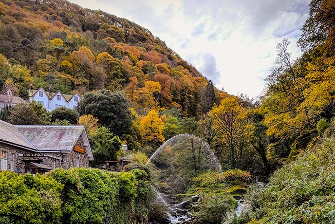 A river and water features arching over Glen Lyn Gorge in autumn, with orange trees