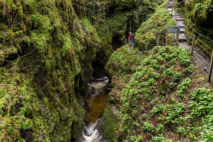 A giant moss and leaf-covered crevice at Lydford Gorge in Dartmoor National Park, with a walkway running along the side