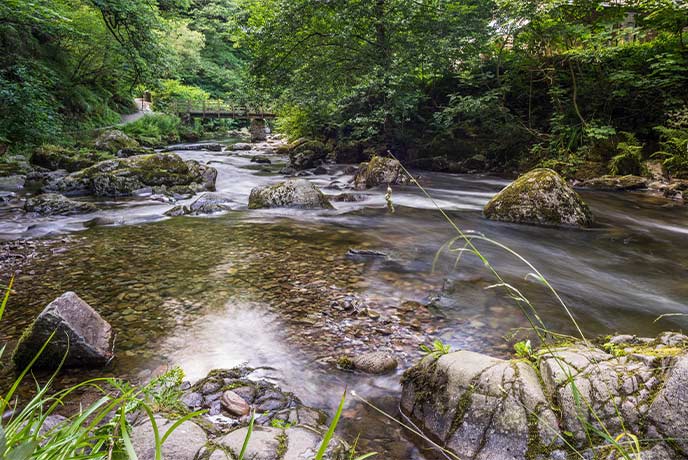 A river full of boulders and surrounded by trees at Watersmeet in Devon