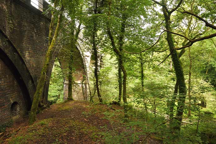 The historic viaduct surrounded by trees in Plymbridge Woods in Devon