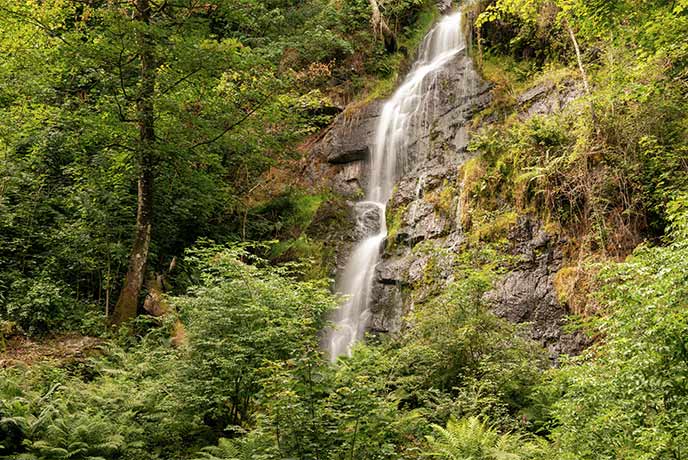 Looking through bushes and trees at the tumbling water at Canonteign Falls in Devon