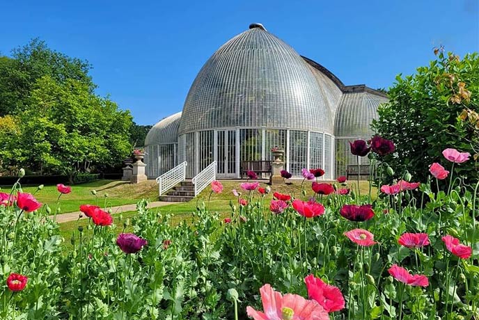 Looking over a bed of flowers at the impressive glass palm house at Bicton Park Botanical Gardens, one of the best gardens in Devon