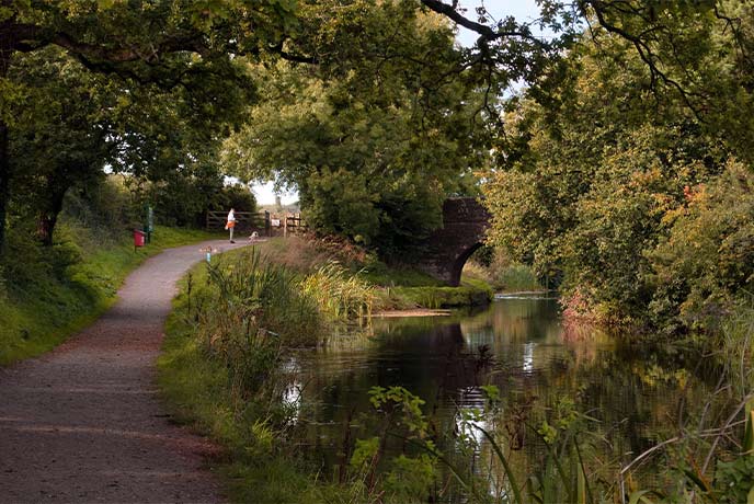 The peaceful wooded canal at Grand Western Canal Country Park