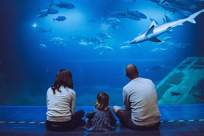 A family sitting in front of one of the giant fish tanks at the National Maritime Aquarium